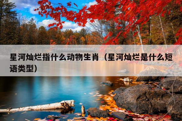 星河灿烂指什么动物生肖（星河灿烂是什么短语类型）