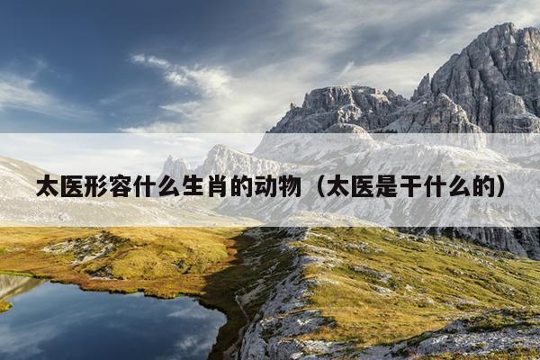 太医形容什么生肖的动物（太医是干什么的）