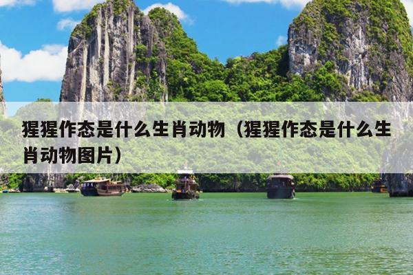 猩猩作态是什么生肖动物（猩猩作态是什么生肖动物图片）
