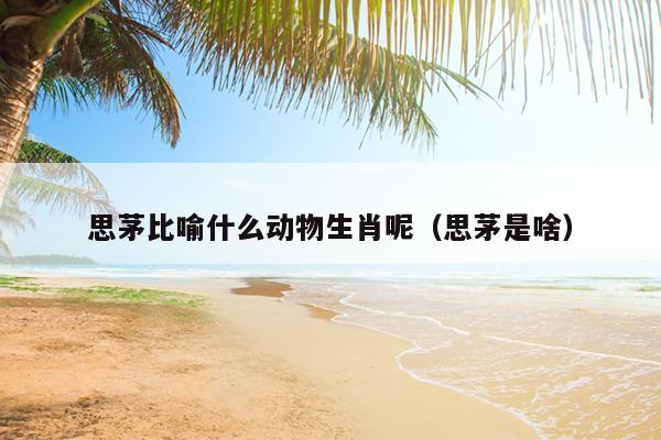 思茅比喻什么动物生肖呢（思茅是啥）