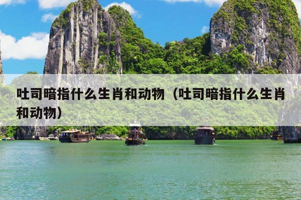 吐司暗指什么生肖和动物（吐司暗指什么生肖和动物）
