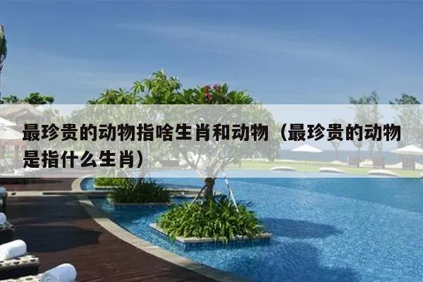 最珍贵的动物指啥生肖和动物（最珍贵的动物是指什么生肖）