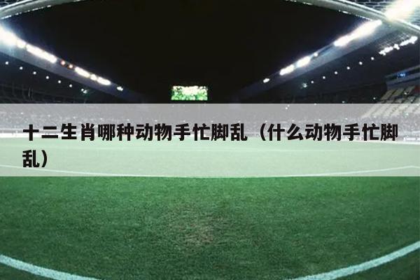 十二生肖哪种动物手忙脚乱（什么动物手忙脚乱）
