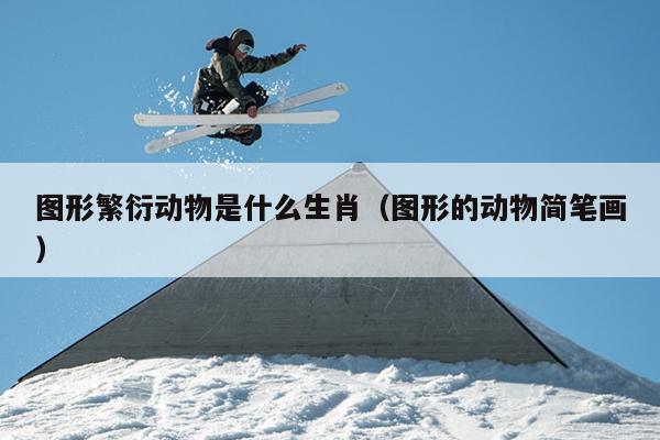 图形繁衍动物是什么生肖（图形的动物简笔画）