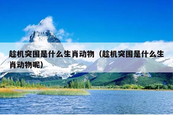 趁机突围是什么生肖动物（趁机突围是什么生肖动物呢）