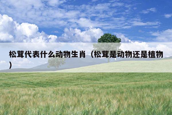 松茸代表什么动物生肖（松茸是动物还是植物）