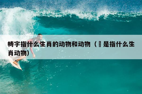 帱字指什么生肖的动物和动物（犇是指什么生肖动物）
