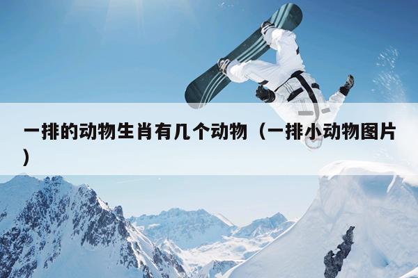 一排的动物生肖有几个动物（一排小动物图片）