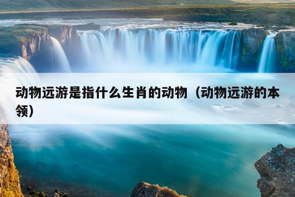 动物远游是指什么生肖的动物（动物远游的本领）
