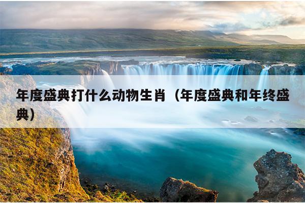 年度盛典打什么动物生肖（年度盛典和年终盛典）