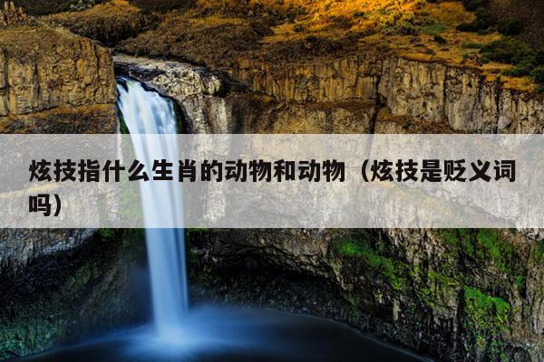 炫技指什么生肖的动物和动物（炫技是贬义词吗）