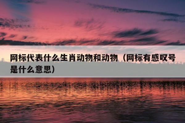 网标代表什么生肖动物和动物（网标有感叹号是什么意思）