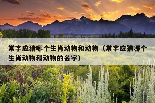 常字应猜哪个生肖动物和动物（常字应猜哪个生肖动物和动物的名字）