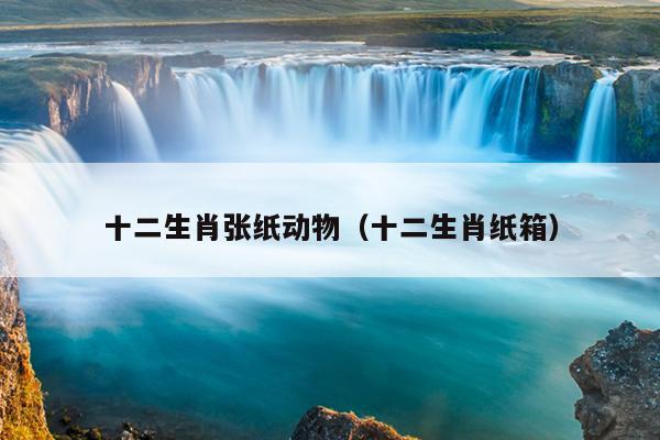 十二生肖张纸动物（十二生肖纸箱）