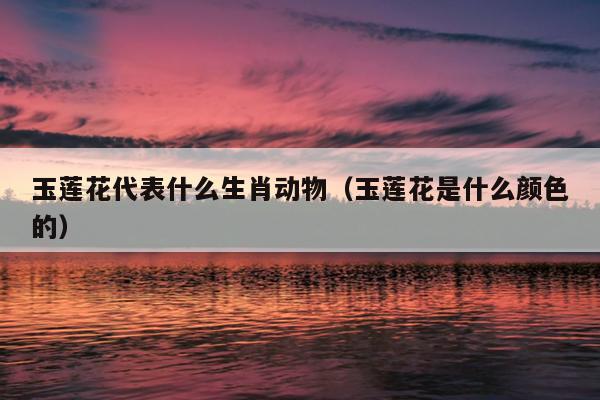 玉莲花代表什么生肖动物（玉莲花是什么颜色的）