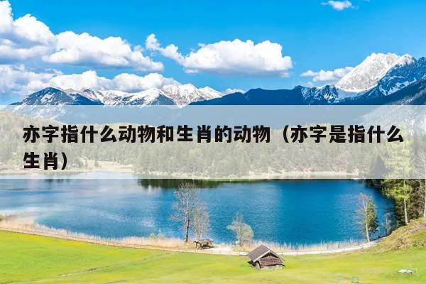亦字指什么动物和生肖的动物（亦字是指什么生肖）