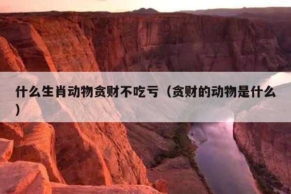 什么生肖动物贪财不吃亏（贪财的动物是什么）