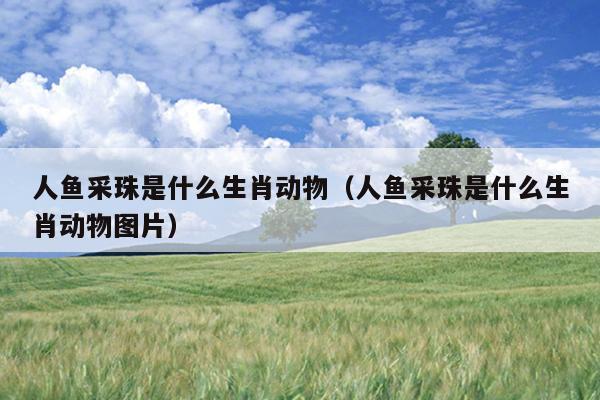 人鱼采珠是什么生肖动物（人鱼采珠是什么生肖动物图片）