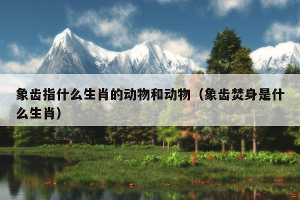 象齿指什么生肖的动物和动物（象齿焚身是什么生肖）