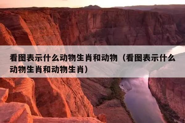 看图表示什么动物生肖和动物（看图表示什么动物生肖和动物生肖）