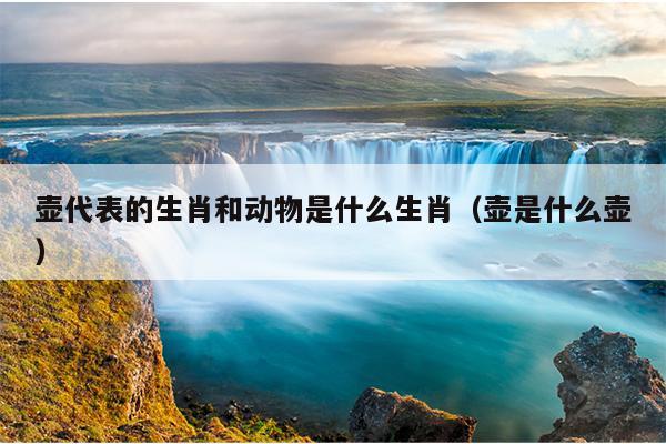 壶代表的生肖和动物是什么生肖（壶是什么壶）
