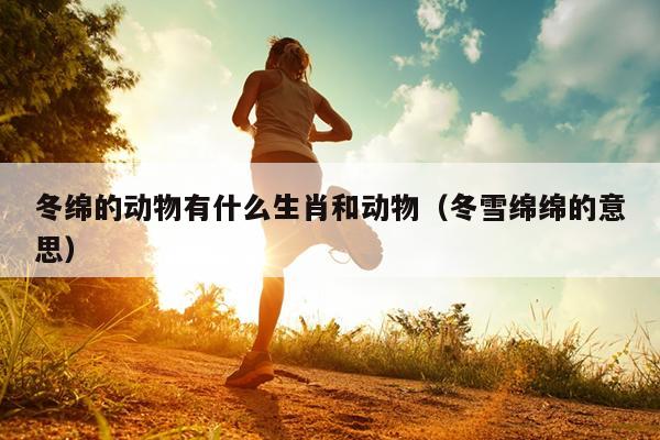 冬绵的动物有什么生肖和动物（冬雪绵绵的意思）