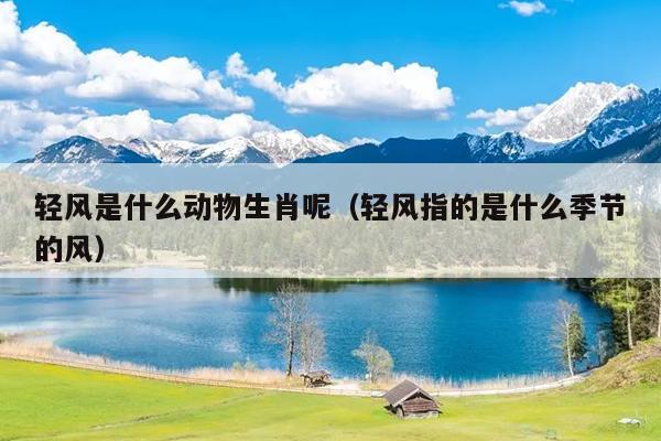 轻风是什么动物生肖呢（轻风指的是什么季节的风）
