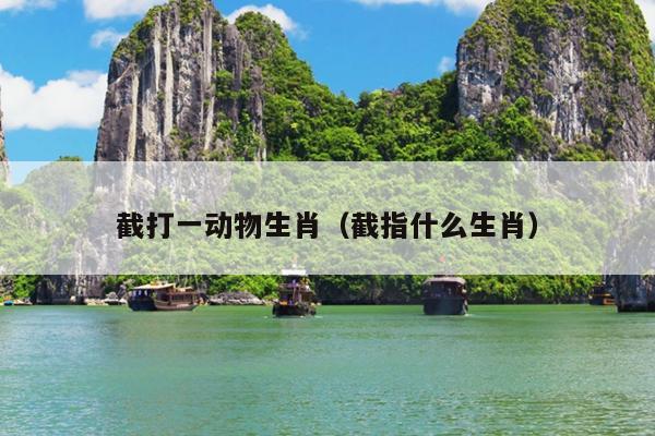 截打一动物生肖（截指什么生肖）