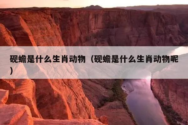 砚蟾是什么生肖动物（砚蟾是什么生肖动物呢）