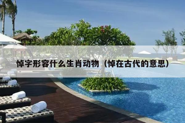 悼字形容什么生肖动物（悼在古代的意思）