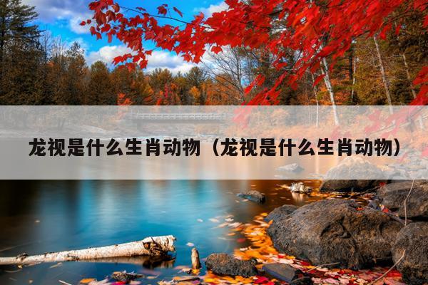 龙视是什么生肖动物（龙视是什么生肖动物）