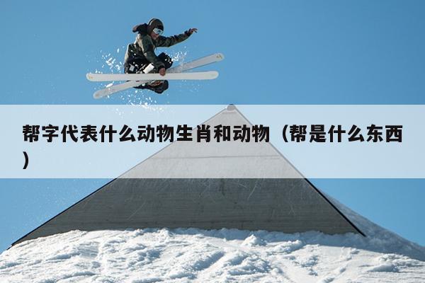 帮字代表什么动物生肖和动物（帮是什么东西）