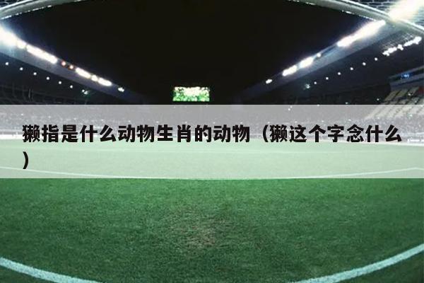 獭指是什么动物生肖的动物（獭这个字念什么）