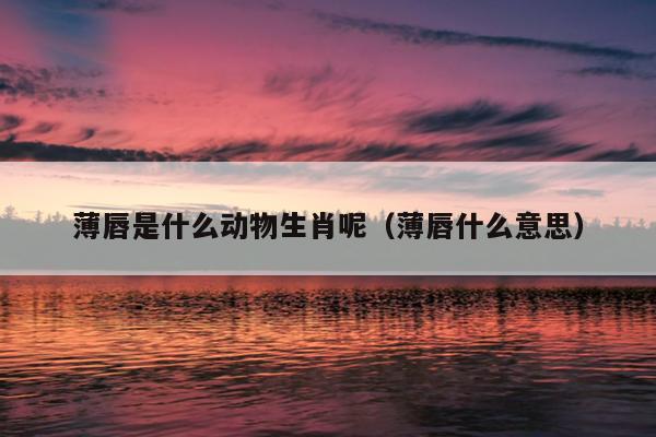 薄唇是什么动物生肖呢（薄唇什么意思）