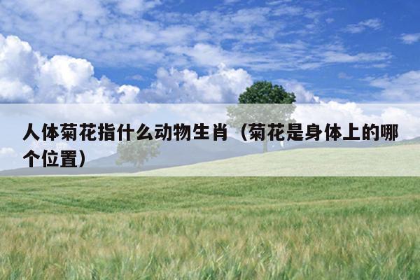 人体菊花指什么动物生肖（菊花是身体上的哪个位置）