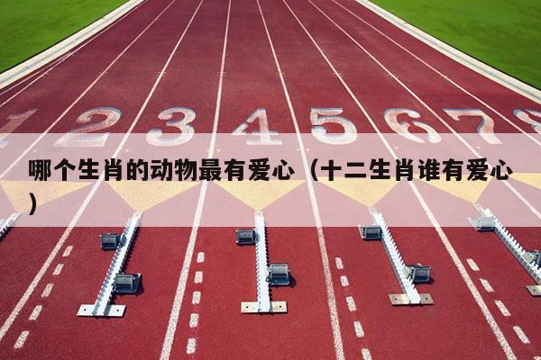 哪个生肖的动物最有爱心（十二生肖谁有爱心）