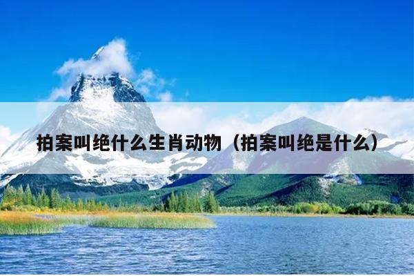 拍案叫绝什么生肖动物（拍案叫绝是什么）