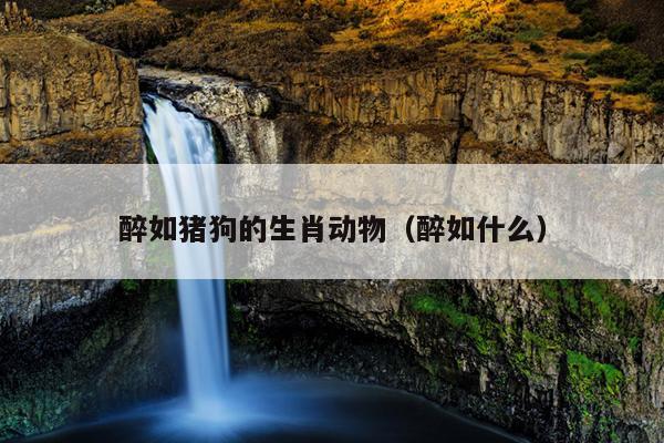 醉如猪狗的生肖动物（醉如什么）