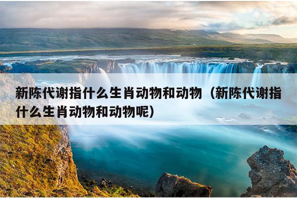 新陈代谢指什么生肖动物和动物（新陈代谢指什么生肖动物和动物呢）