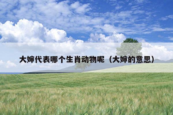 大婶代表哪个生肖动物呢（大婶的意思）