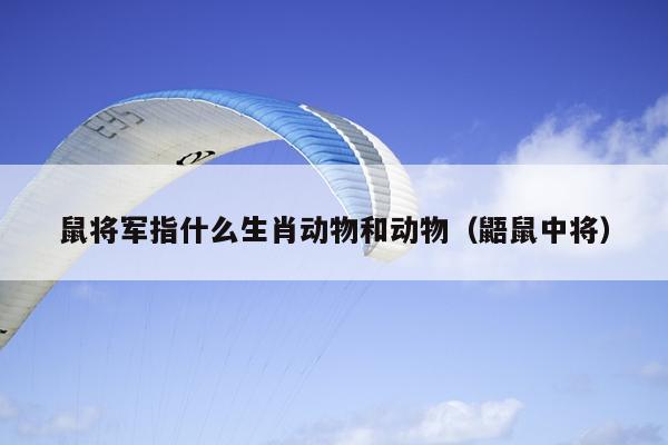 鼠将军指什么生肖动物和动物（鼯鼠中将）