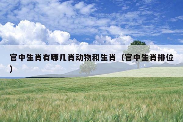 官中生肖有哪几肖动物和生肖（官中生肖排位）