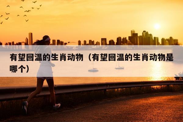有望回温的生肖动物（有望回温的生肖动物是哪个）