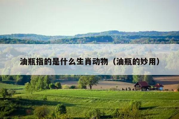 油瓶指的是什么生肖动物（油瓶的妙用）