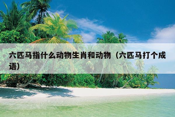 六匹马指什么动物生肖和动物（六匹马打个成语）
