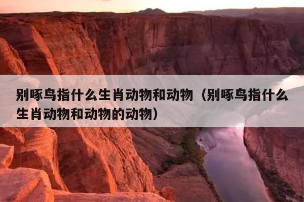别啄鸟指什么生肖动物和动物（别啄鸟指什么生肖动物和动物的动物）