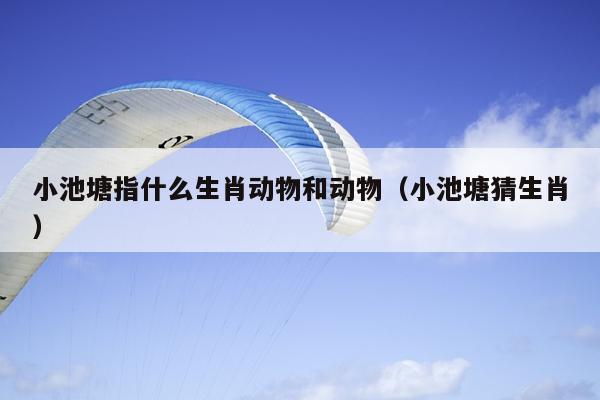 小池塘指什么生肖动物和动物（小池塘猜生肖）