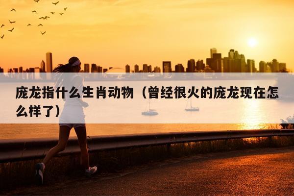 庞龙指什么生肖动物（曾经很火的庞龙现在怎么样了）