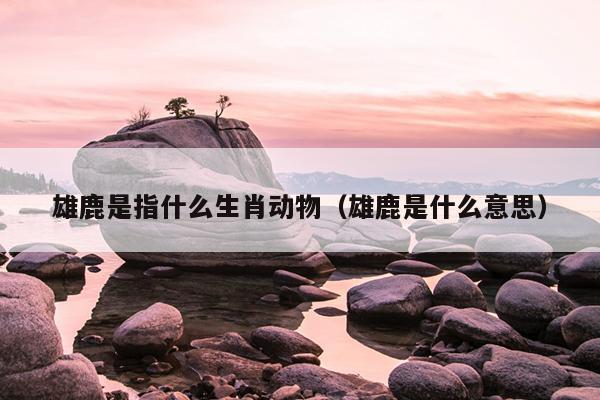 雄鹿是指什么生肖动物（雄鹿是什么意思）