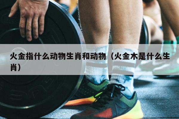 火金指什么动物生肖和动物（火金木是什么生肖）